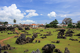 The Coral Garden, Wasini Island