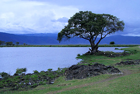 Inside the Ngorongoro Crater