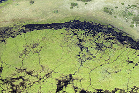 Okavango Delta from the Air