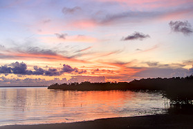 Sunset over the mangroves at Funzi Keys, Kenya