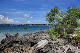 Wasini Island, Kenya